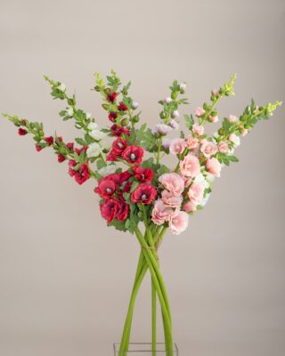 Hollyhocks