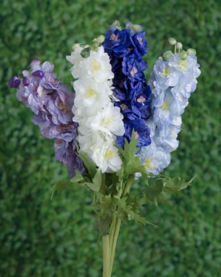 Delphiniums - Double