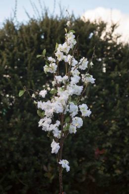 Blossom Spray - White