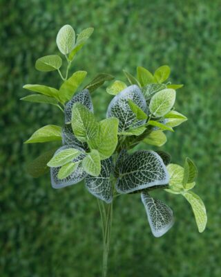 Bunch of Mixed Leaves