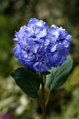Hydrangea - Dark Blue Out of Stock