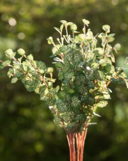 Deep green and cream spray of small leaves