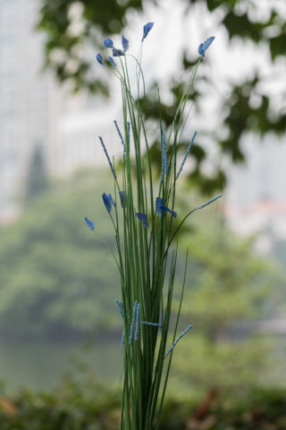 Meadow Grasses Tipped  Blue