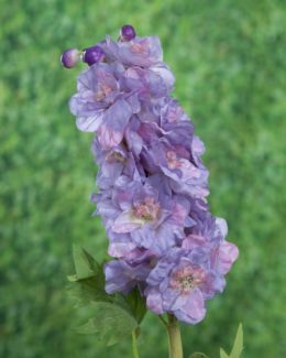 Delphiniums Double Pale Blue Mezu Silk Flowers Delphinium Double Dark Blue Mauve