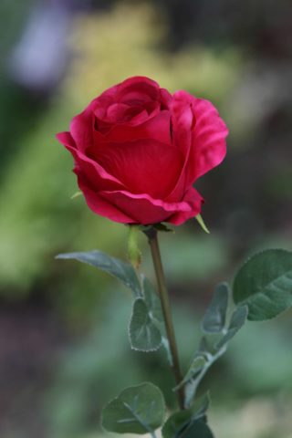 Rose Bud Large Red - Mezu Silk Flowers