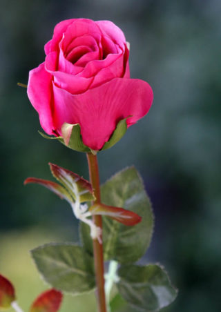 Rose Bud Med Dark Pink - Mezu Silk Flowers